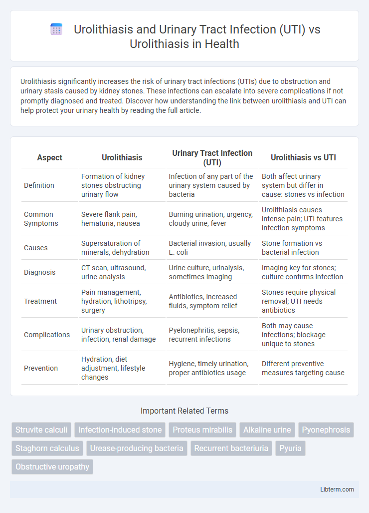 Urolithiasis vs Urolithiasis and Urinary Tract Infection (UTI) in Health - What is The Difference?