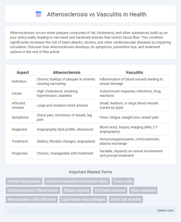Vasculitis vs Atherosclerosis in Health - What is The Difference?