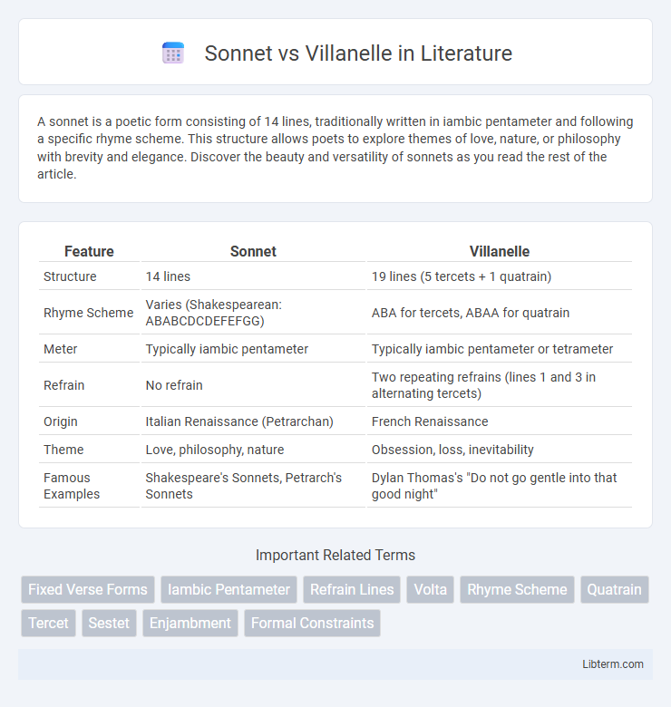 Villanelle vs Sonnet in Literature - What is The Difference?