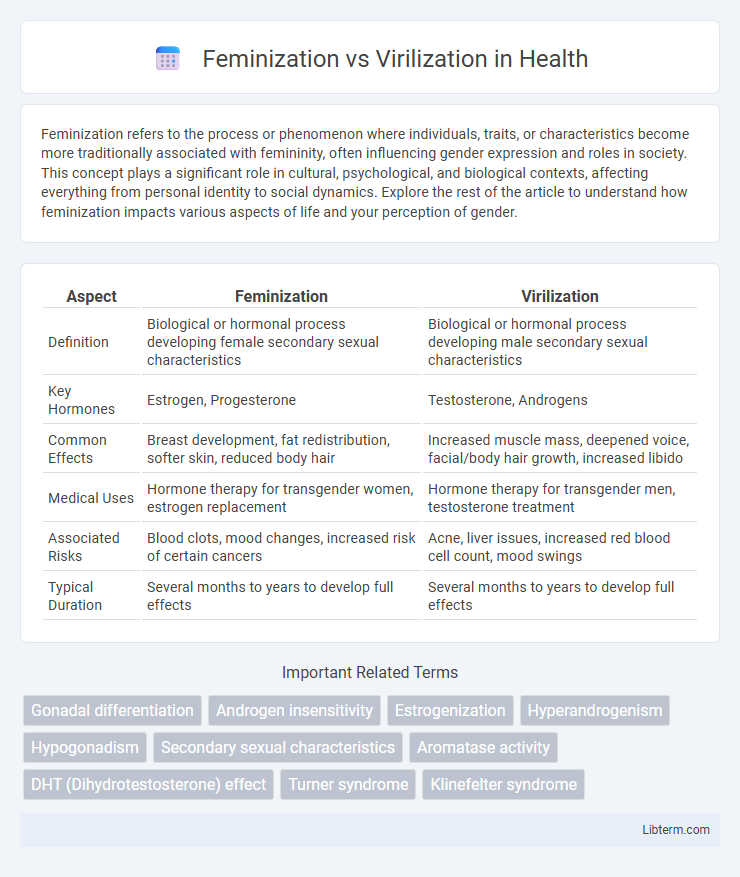Virilization vs Feminization in Health - What is The Difference?