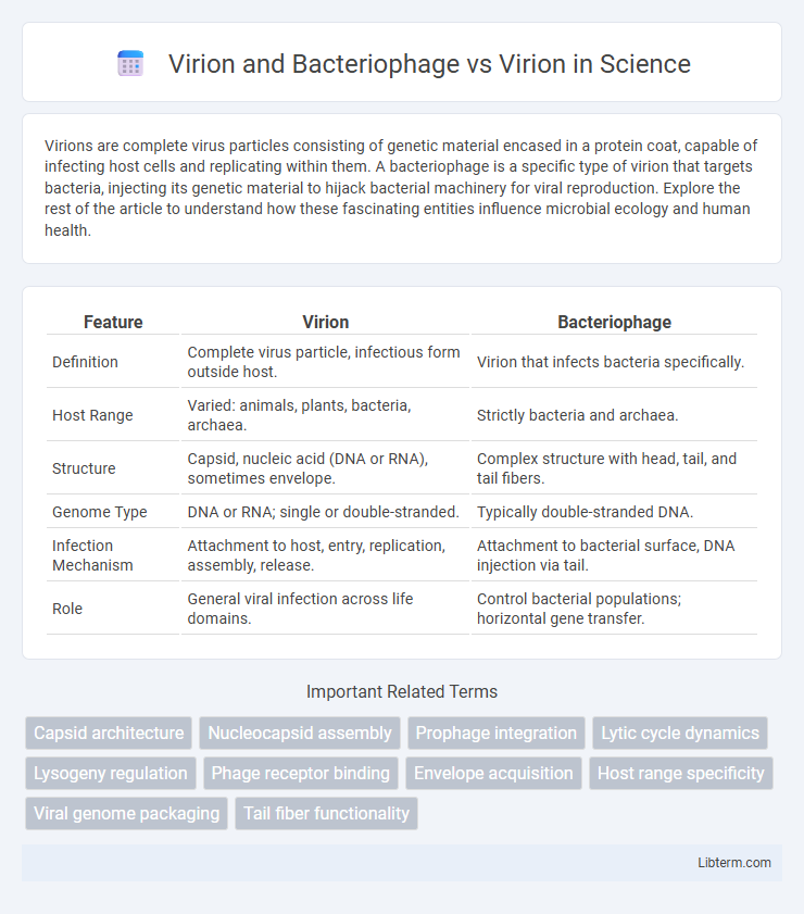 Virion vs Virion and Bacteriophage in Science - What is The Difference?