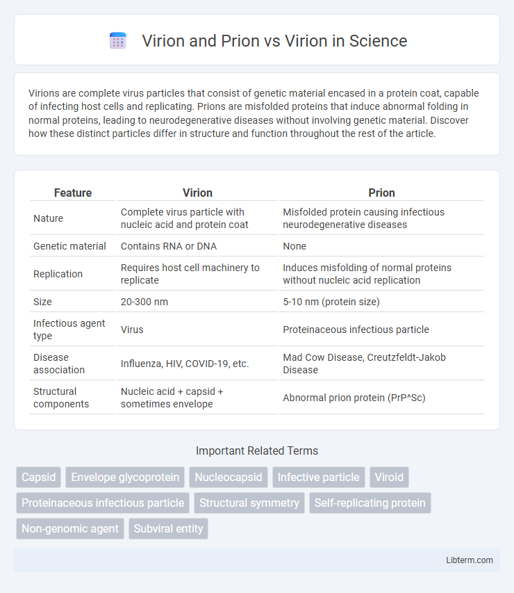 Virion vs Virion and Prion in Science - What is The Difference?