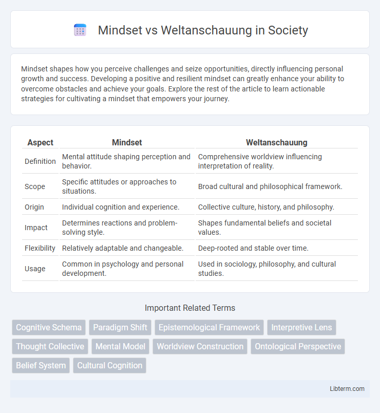 Weltanschauung vs Mindset in Society - What is The Difference?