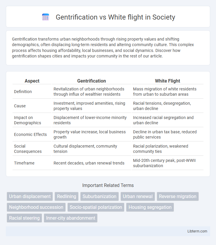 White flight vs Gentrification in Society - What is The Difference?