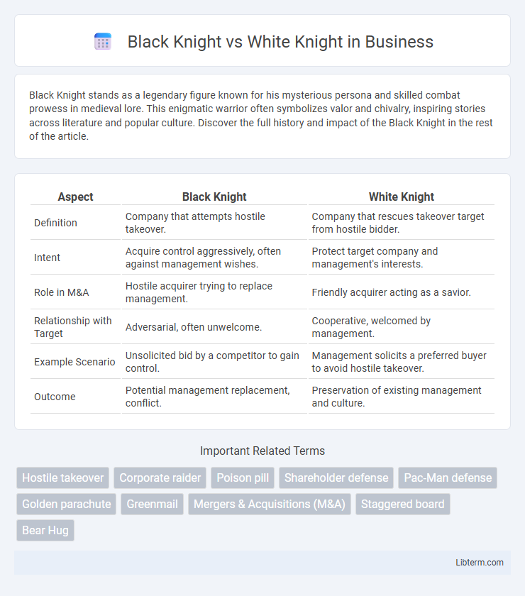 White Knight vs Black Knight in Business - What is The Difference?