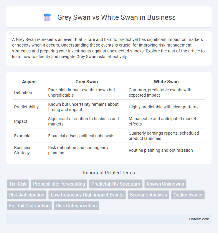 White Swan vs Grey Swan in Business - What is The Difference?