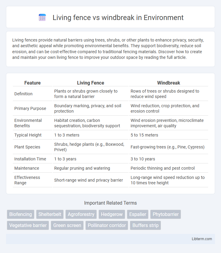 windbreak vs Living fence in Environment - What is The Difference?