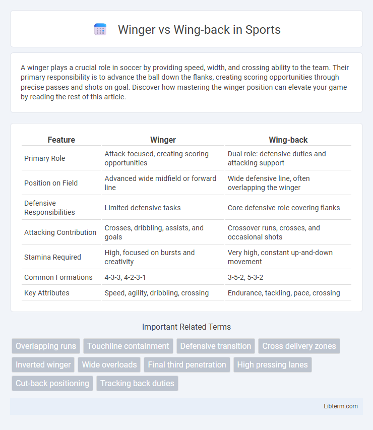 Wing-back vs Winger in Sports - What is The Difference?