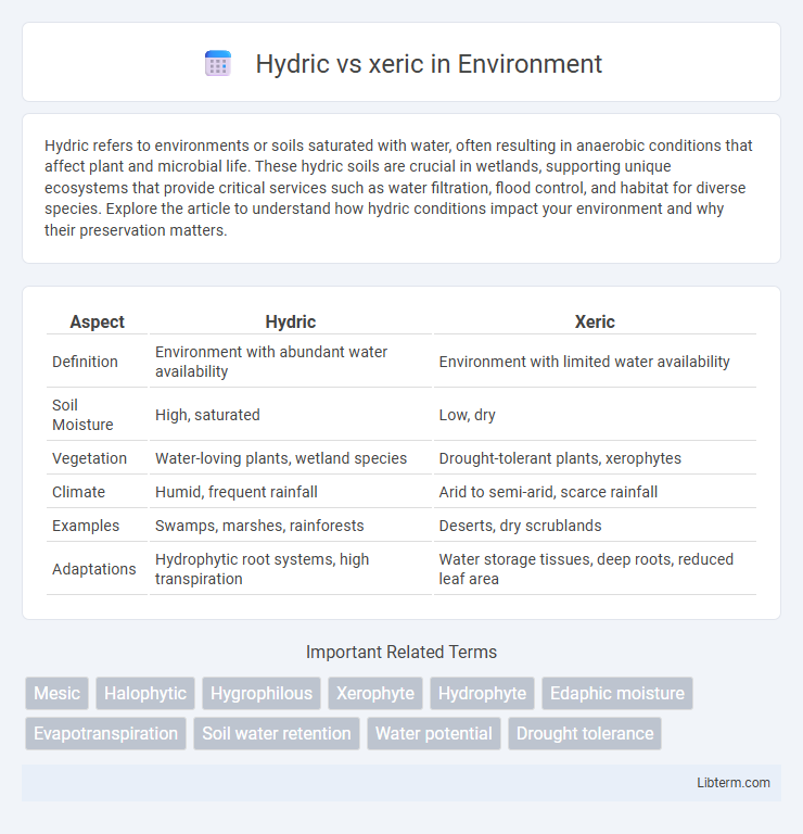 xeric vs Hydric in Environment - What is The Difference?