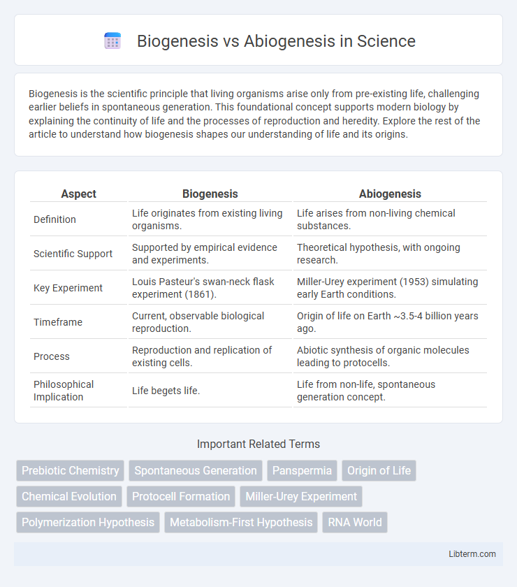 Abiogenesis vs Biogenesis in Science - What is The Difference?
