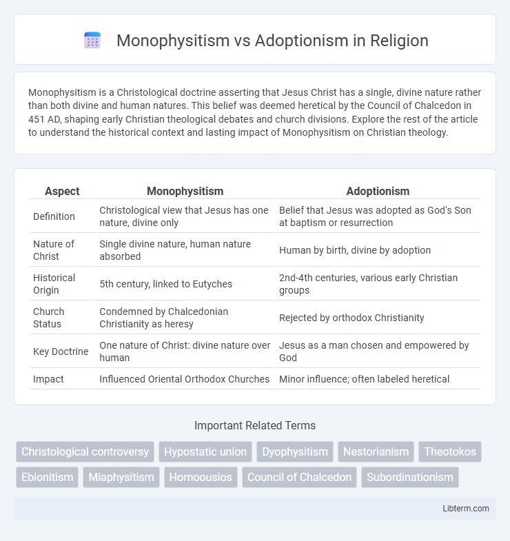 Adoptionism vs Monophysitism in Religion - What is The Difference?