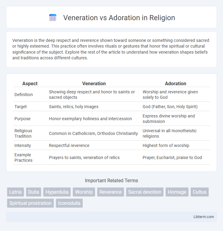 Adoration vs Veneration in Religion - What is The Difference?
