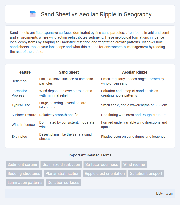 Aeolian Ripple vs Sand Sheet in Geography - What is The Difference?