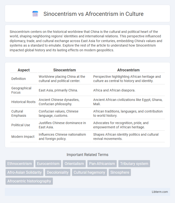 Afrocentrism vs Sinocentrism in Culture - What is The Difference?