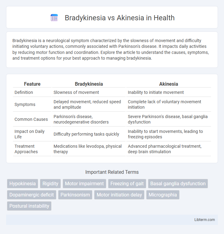 Akinesia vs Bradykinesia in Health - What is The Difference?