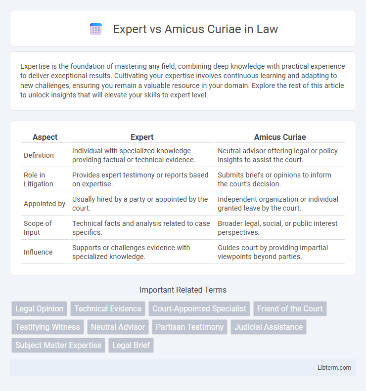 Amicus Curiae vs Expert in Law - What is The Difference?