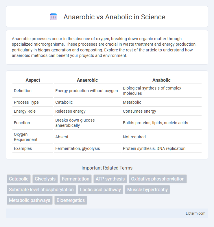 Anabolic vs Anaerobic in Science - What is The Difference?