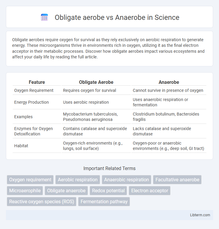 Anaerobe vs Obligate aerobe in Science - What is The Difference?