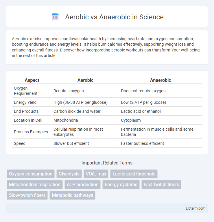 Anaerobic vs Aerobic in Science - What is The Difference?