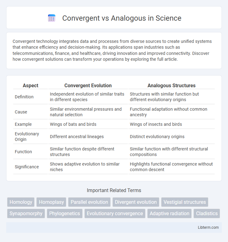 Analogous vs Convergent in Science - What is The Difference?