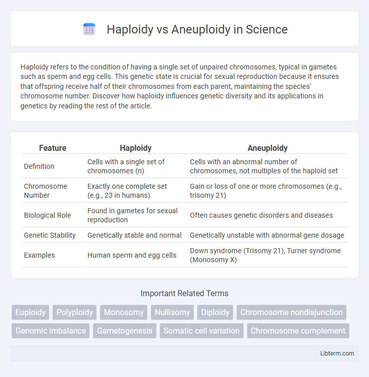 Aneuploidy vs Haploidy in Science - What is The Difference?