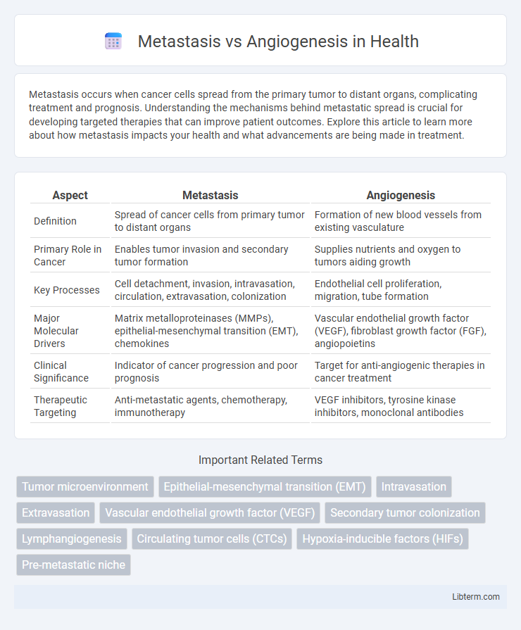 Angiogenesis vs Metastasis in Health - What is The Difference?