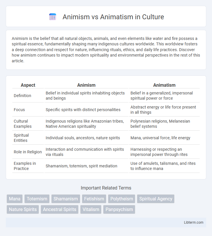 Animatism vs Animism in Culture - What is The Difference?