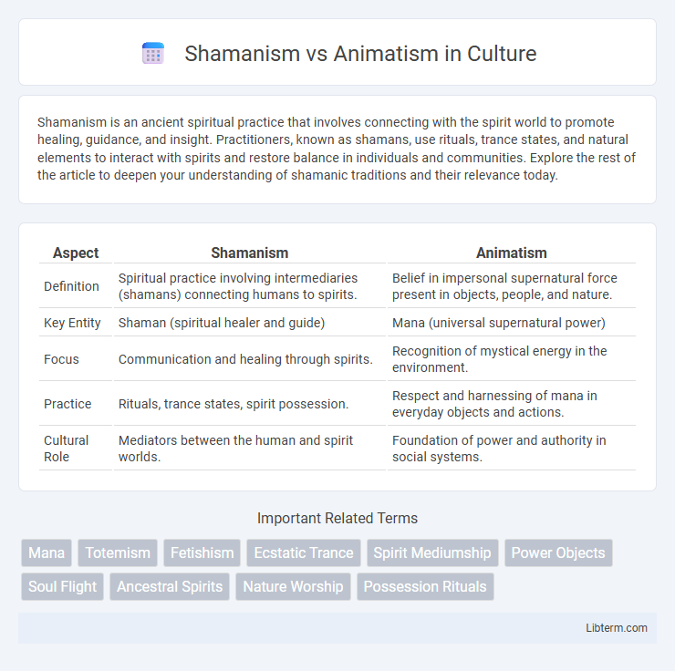 Animatism vs Shamanism in Culture - What is The Difference?