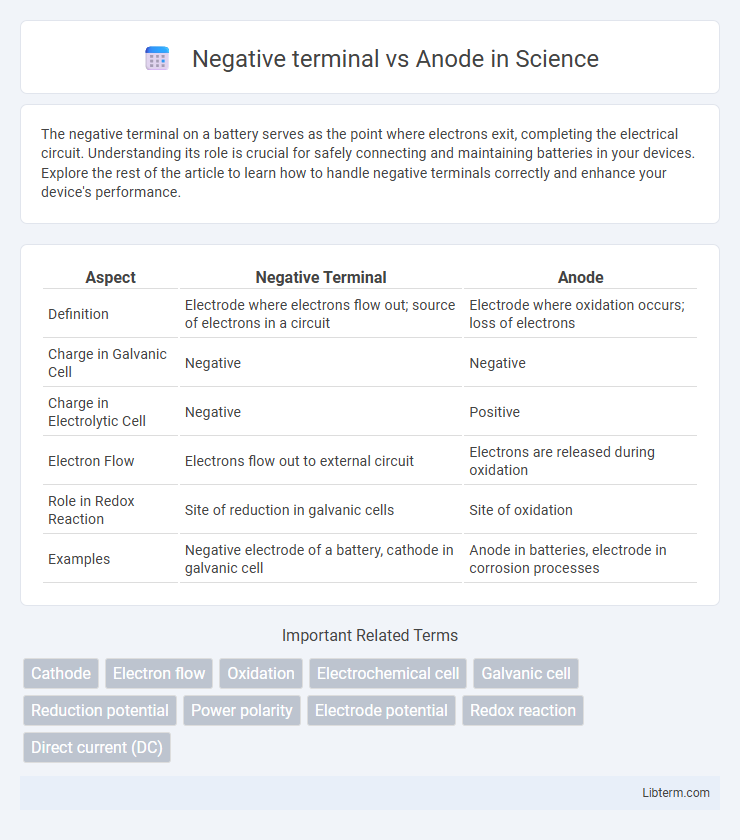 Anode vs Negative terminal in Science - What is The Difference?