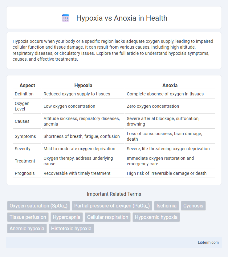 Anoxia vs Hypoxia in Health - What is The Difference?