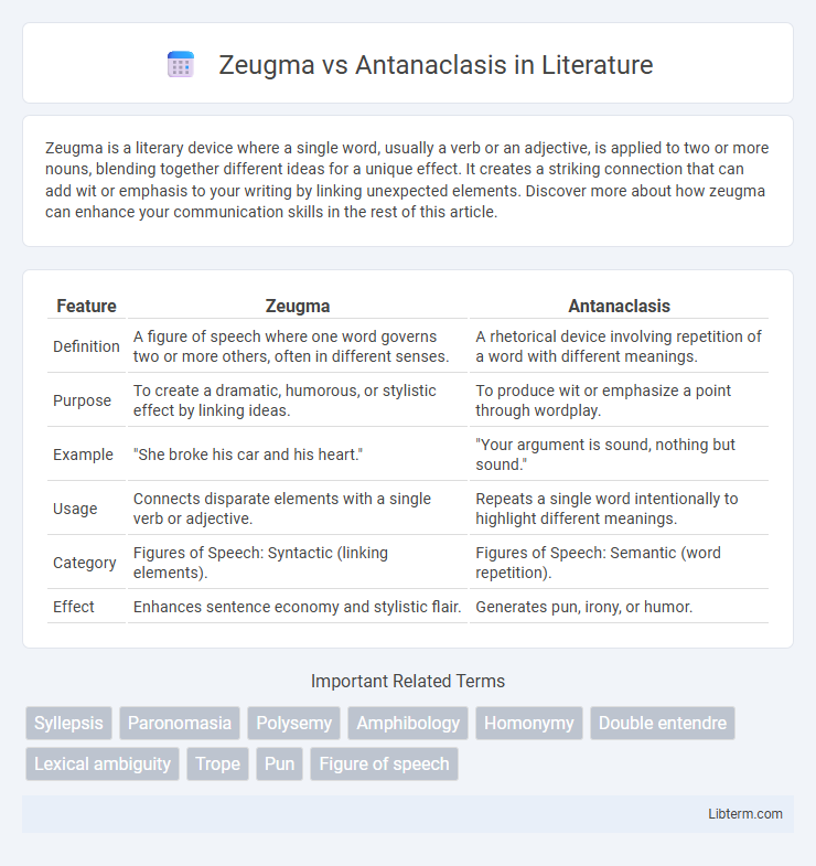 Antanaclasis vs Zeugma in Literature - What is The Difference?