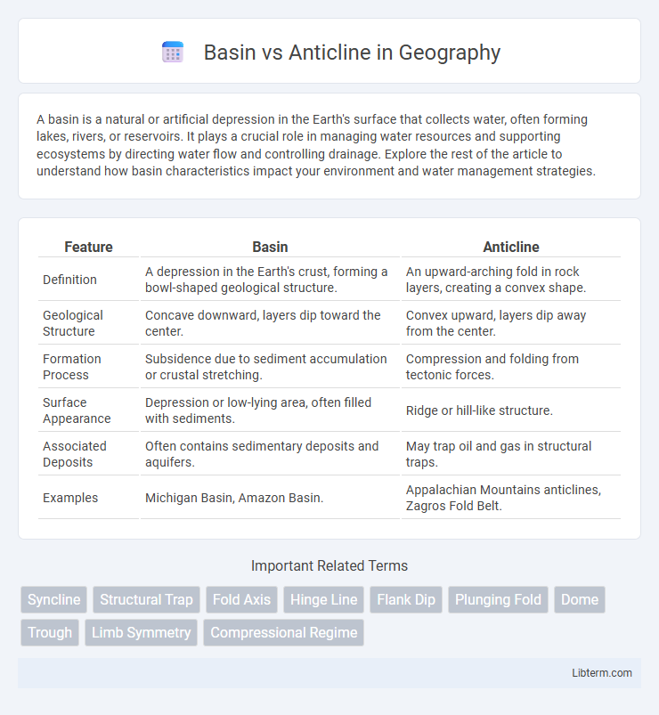 Anticline vs Basin in Geography - What is The Difference?