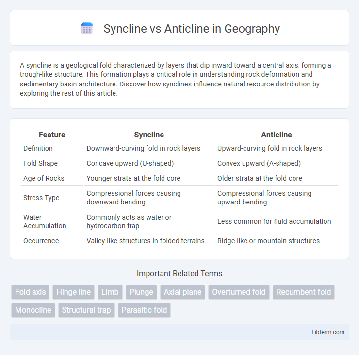 Anticline vs Syncline in Geography - What is The Difference?