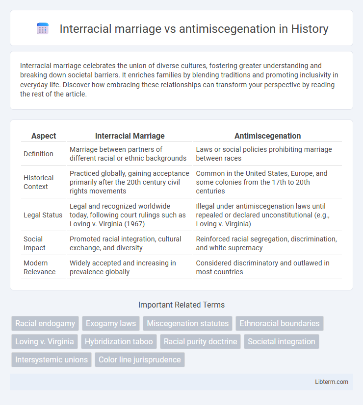 antimiscegenation vs Interracial marriage in History - What is The Difference?