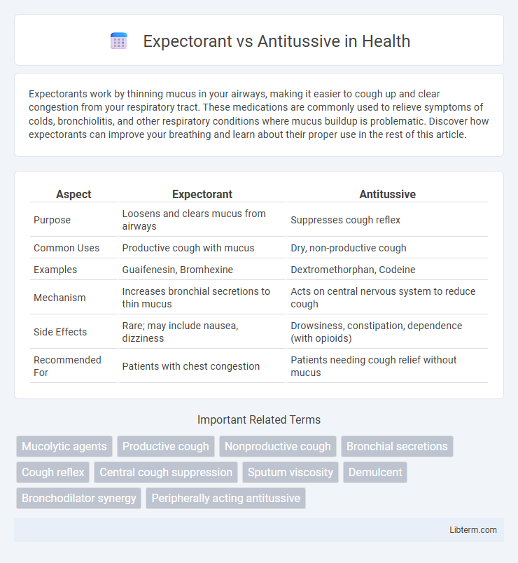 Antitussive vs Expectorant in Health - What is The Difference?