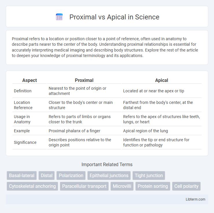 Apical vs Proximal in Science - What is The Difference?