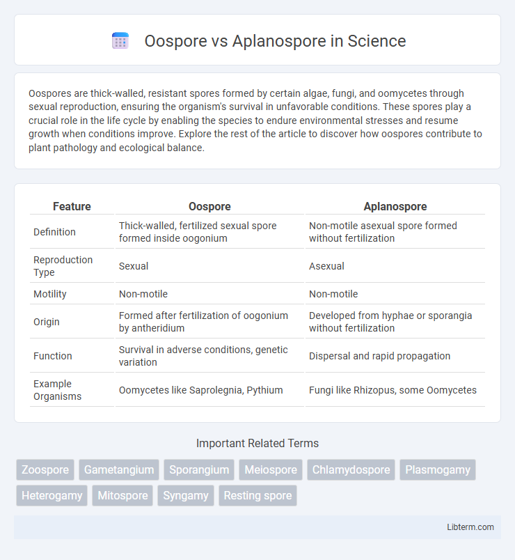 Aplanospore vs Oospore in Science - What is The Difference?