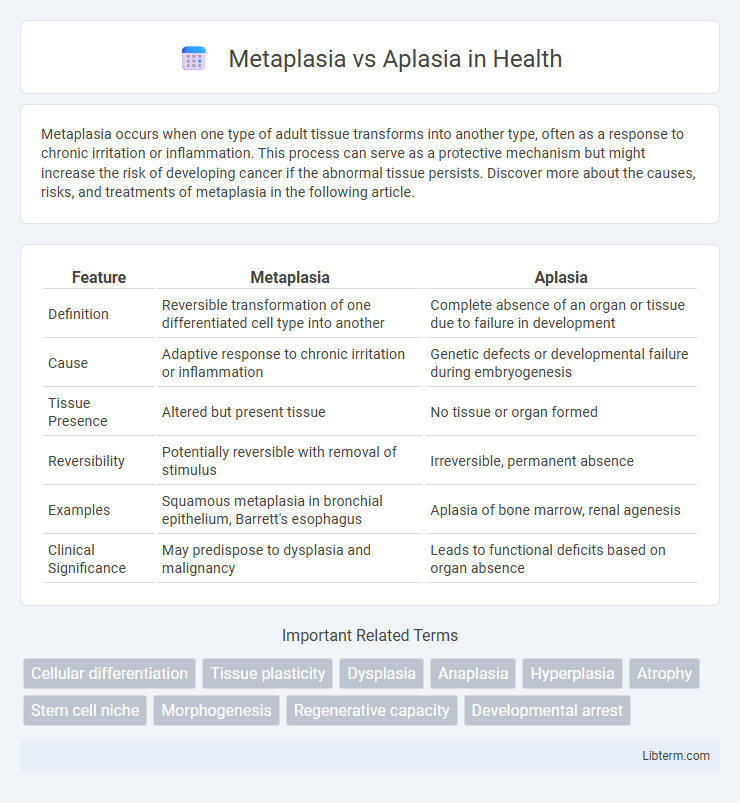 Aplasia vs Metaplasia in Health - What is The Difference?