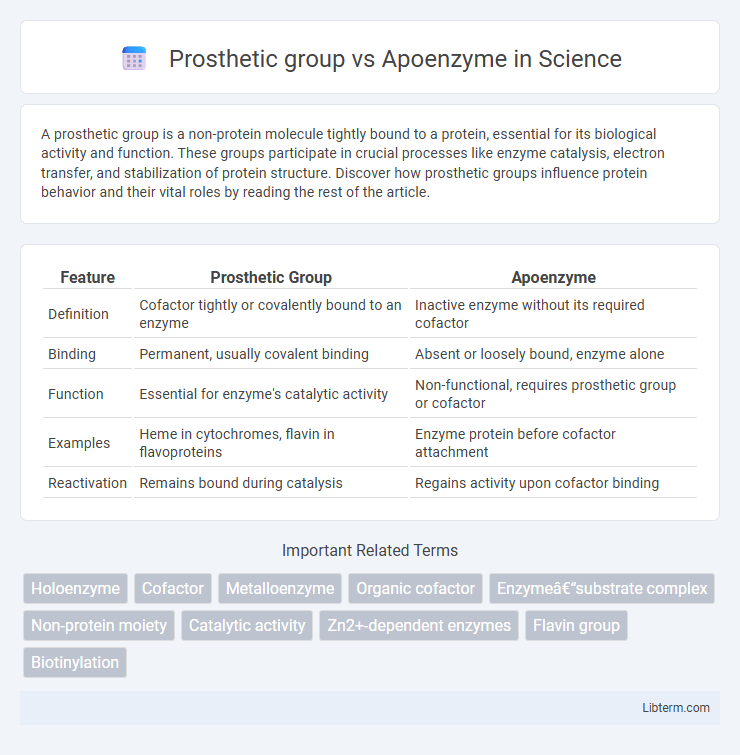 Apoenzyme vs Prosthetic group in Science - What is The Difference?