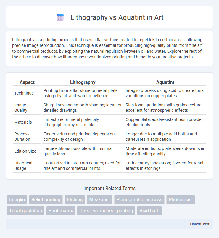 Aquatint vs Lithography in Art - What is The Difference?