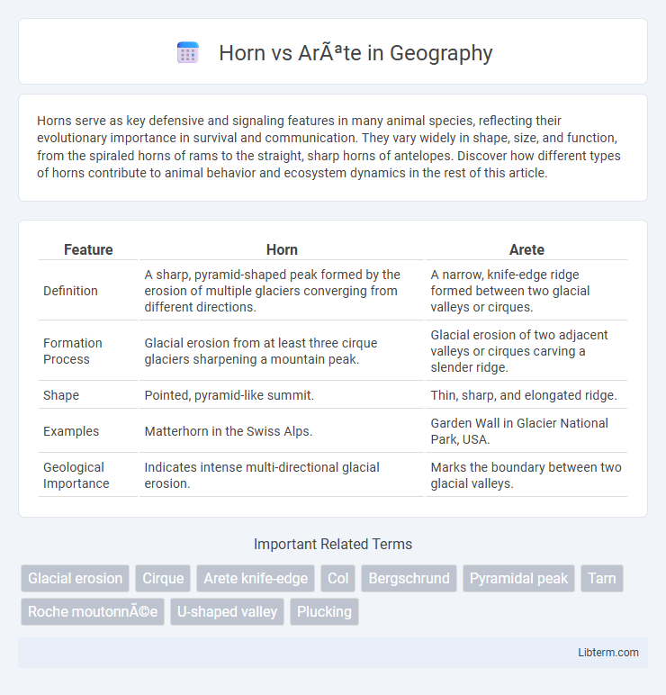 Arête vs Horn in Geography - What is The Difference?
