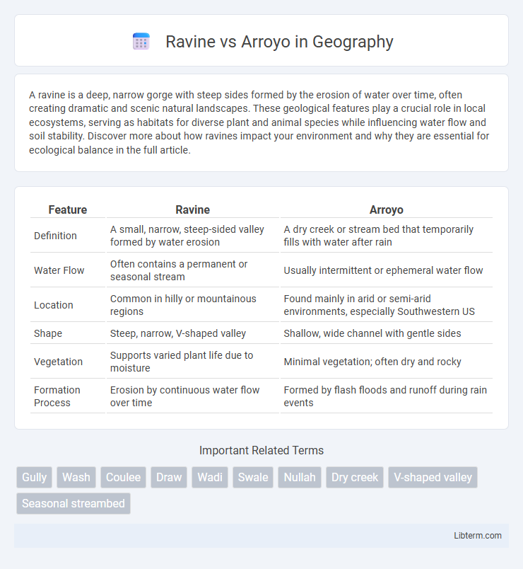 Arroyo vs Ravine in Geography - What is The Difference?