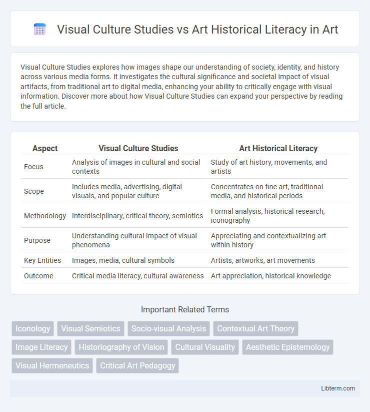 Art Historical Literacy vs Visual Culture Studies in Art - What is The Difference?