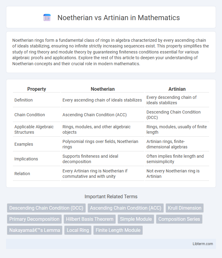 Artinian vs Noetherian in Mathematics - What is The Difference?