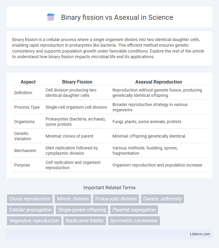 Asexual vs Binary fission in Science - What is The Difference?