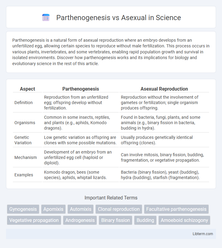 Asexual vs Parthenogenesis in Science - What is The Difference?