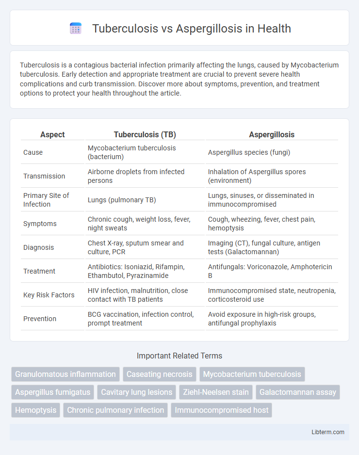 Aspergillosis vs Tuberculosis in Health - What is The Difference?