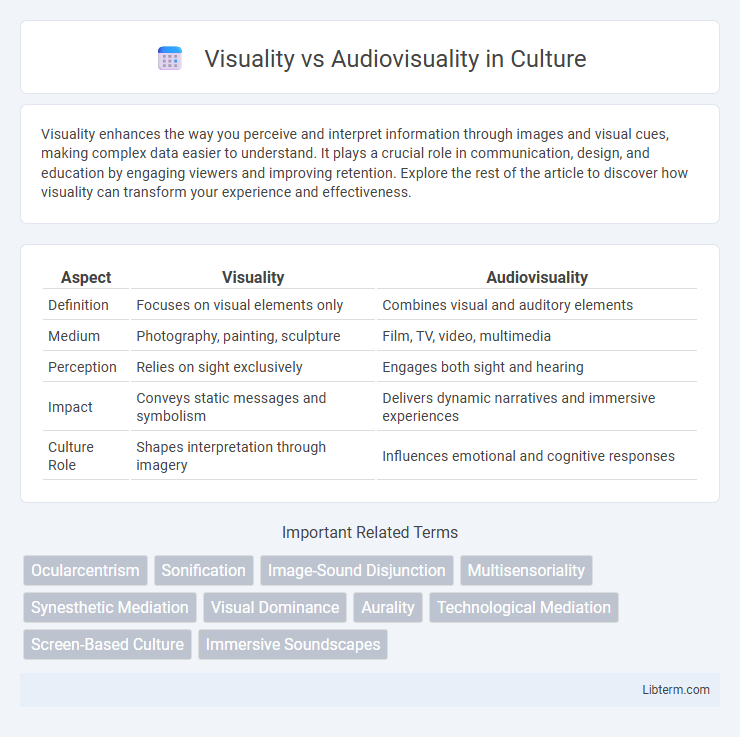 Audiovisuality vs Visuality in Culture - What is The Difference?