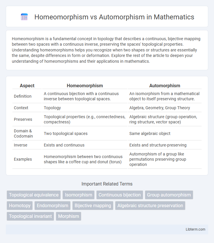 Automorphism vs Homeomorphism in Mathematics - What is The Difference?