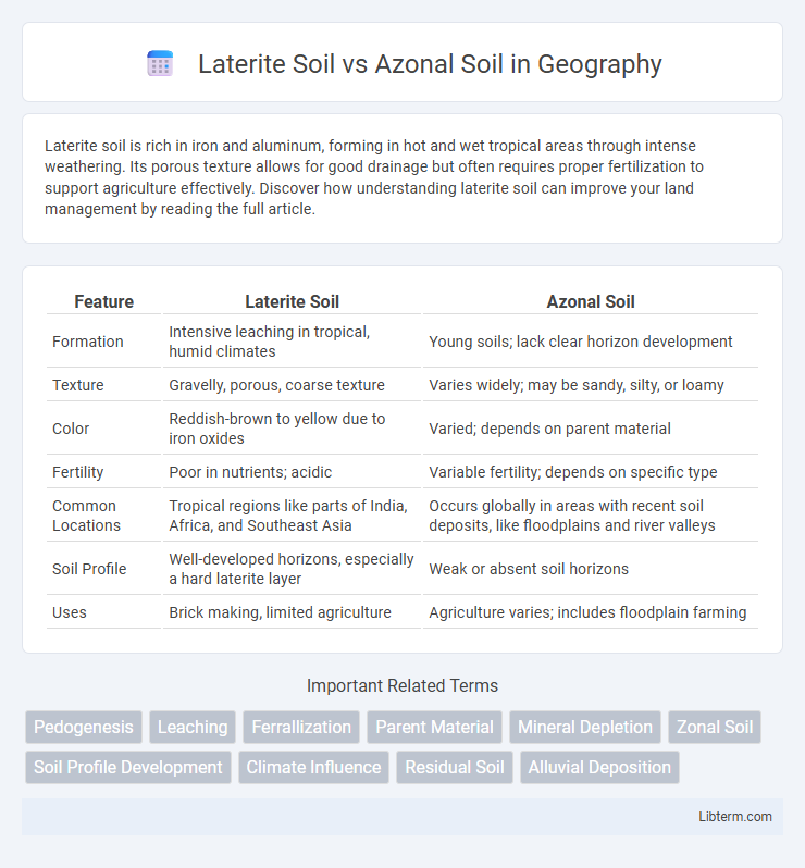 Azonal Soil vs Laterite Soil in Geography - What is The Difference?